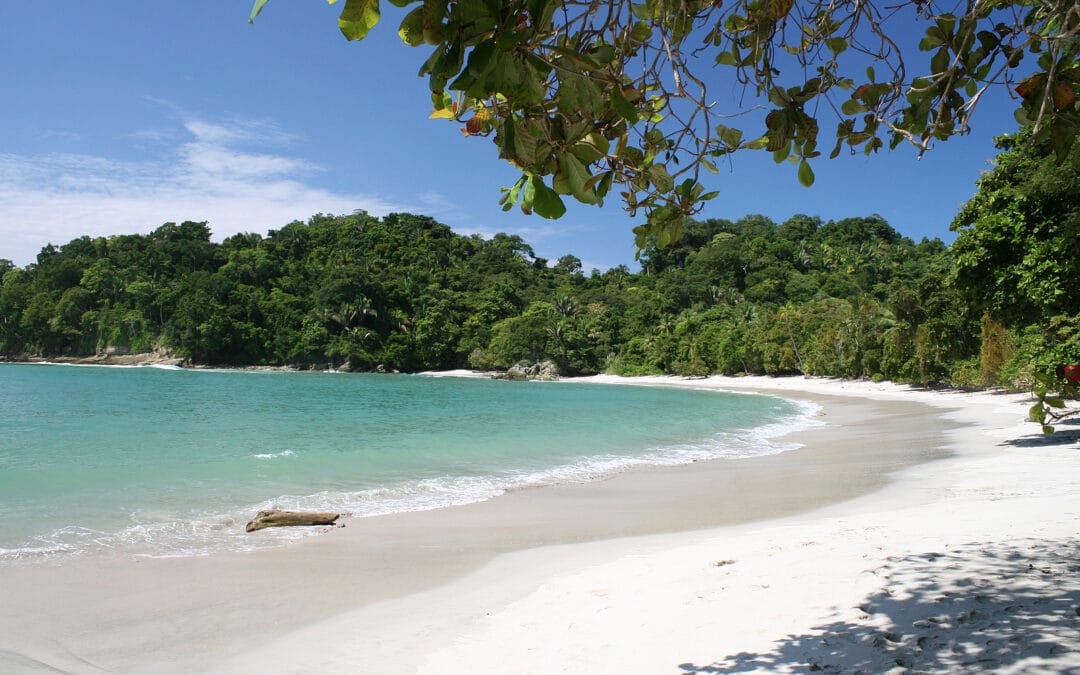 Tropical Beach Costa Rica