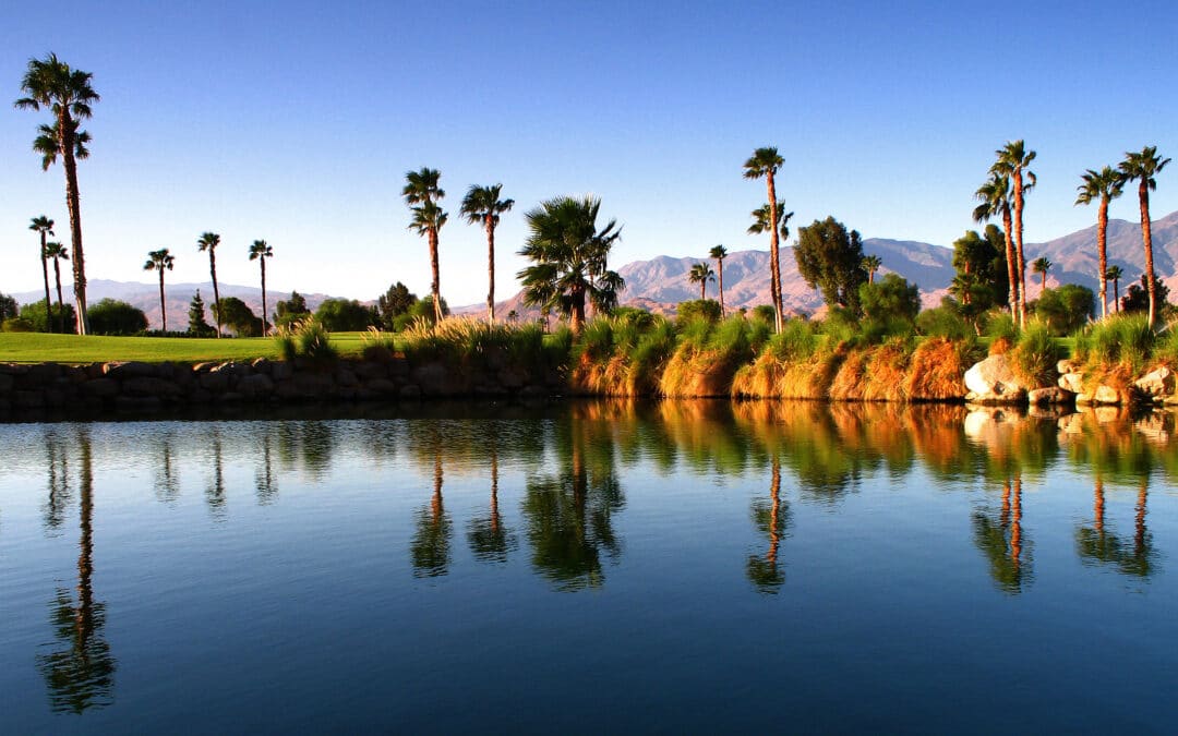A Fantastic Guide To Palm Springs From Tripps Plus